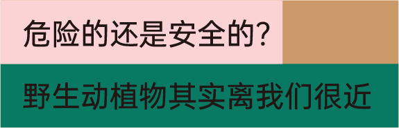 ✅4949澳门免费资料大全特色✅:2025全球最佳留学城市（北欧篇），北欧哪些城市上榜，分别有哪些名校？  第4张