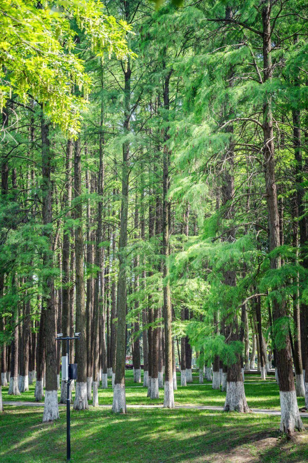 🌸【管家婆一码一肖100中奖】🌸:昆明打造城市旅游打卡新地标 “天空之眼”受欢迎  第5张