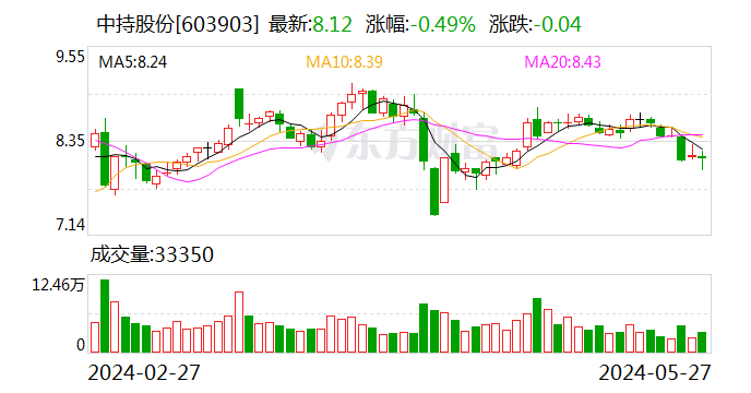 中持股份：终止2023年度以简易程序向特定对象发行股票事项  第1张