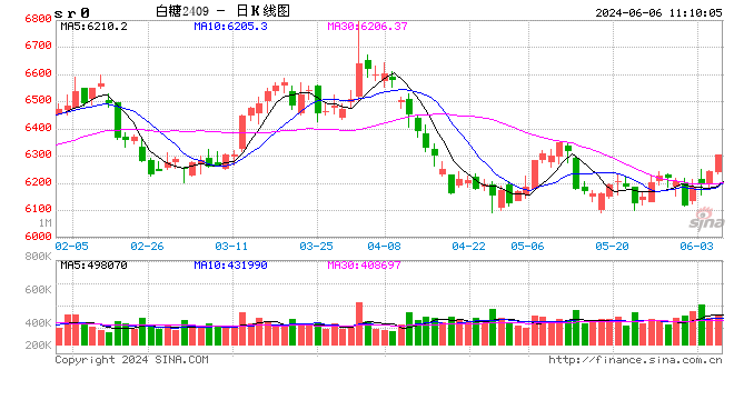 光大期货软商品类日报6.6