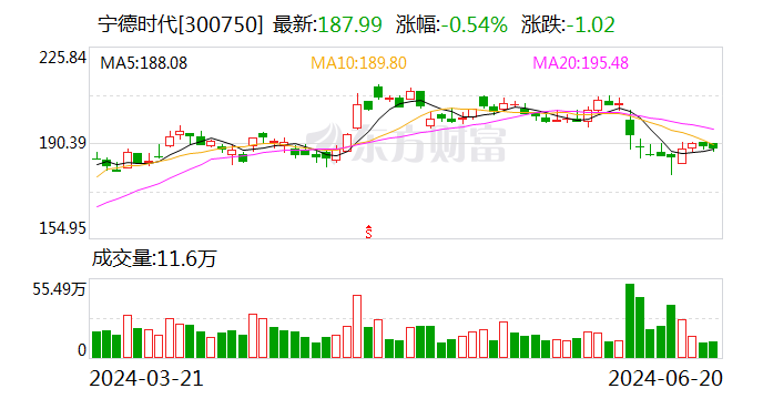 宁德时代6月20日大宗交易成交274.09万元