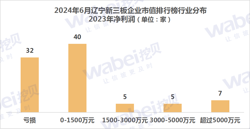 2024年6月辽宁新三板企业市值排行榜：12家企业去年净利润超3000万元