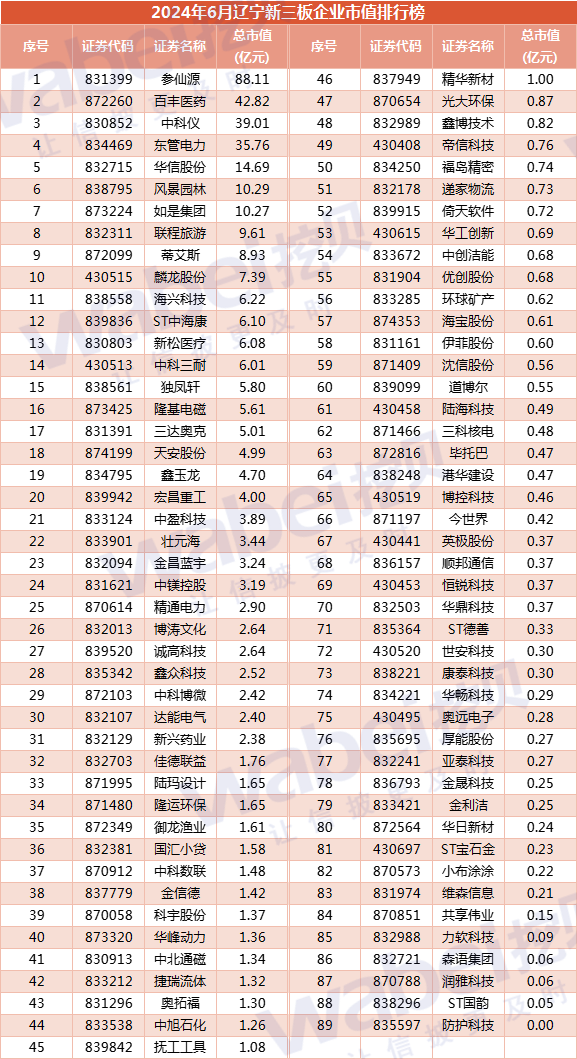 2024年6月辽宁新三板企业市值排行榜：12家企业去年净利润超3000万元