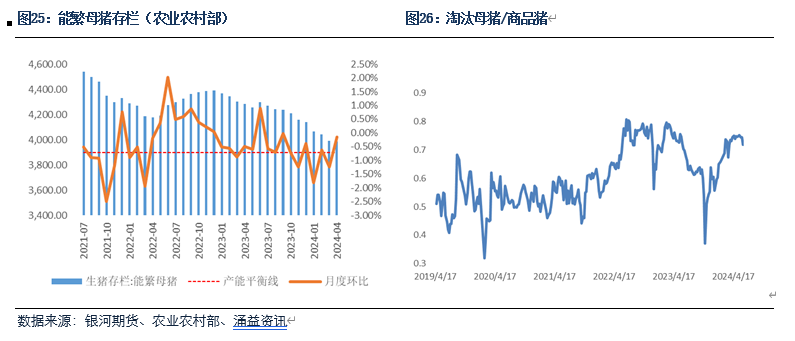 【生猪半年报】疫情影响有所放大 预期现实反复博弈  第12张