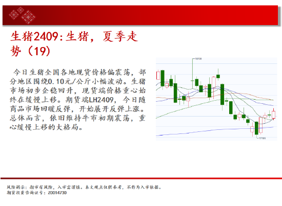 中天期货:玉米区间回落 棕榈大阳线  第8张