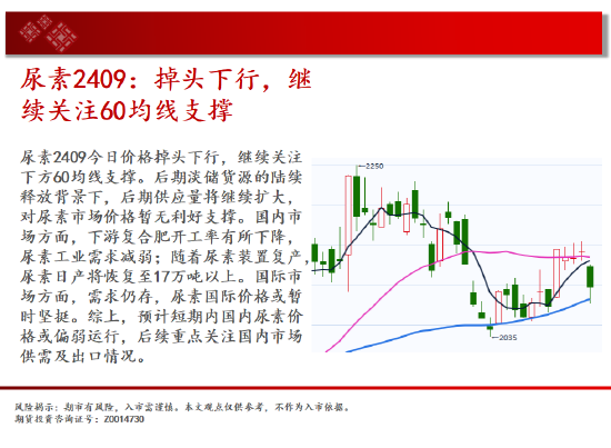 中天期货:玉米区间回落 棕榈大阳线  第11张