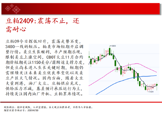 中天期货:玉米区间回落 棕榈大阳线  第12张