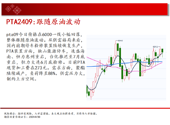 中天期货:玉米区间回落 棕榈大阳线  第18张