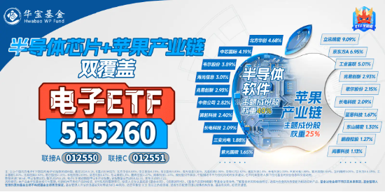 市场加速探底，何解？今年最强板块已累计超额逾19个百分点，红利、电子局部活跃  第10张