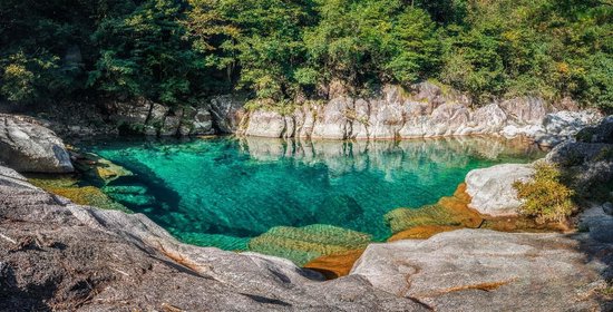 农夫山泉2023年纳税额68亿元  第4张