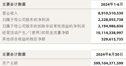 中金公司上半年营收超89亿元，投行等多业务线总体排名领先