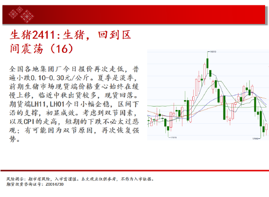 中天期货:生猪回到区间震荡 站上17000  第8张