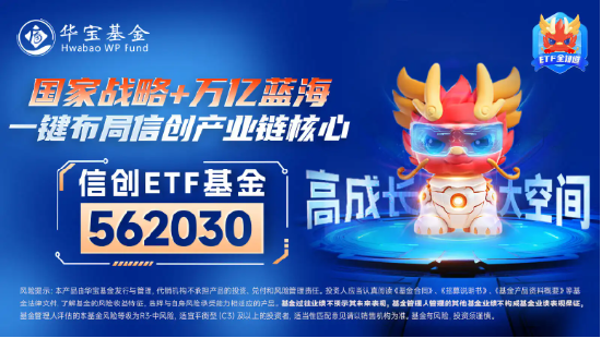 英特尔被点名，网络安全审查启动！信创ETF基金（562030）盘中暴拉4%，鸿蒙概念走强！  第2张