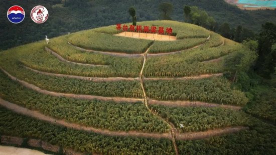 茅五洋泸汾领头，探索酒业ESG发展新路径、新样本  第8张