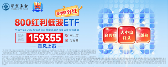 能守亦可攻！全市场唯一800红利低波ETF（159355）放量收涨1.67%，上市以来超额表现突出  第3张