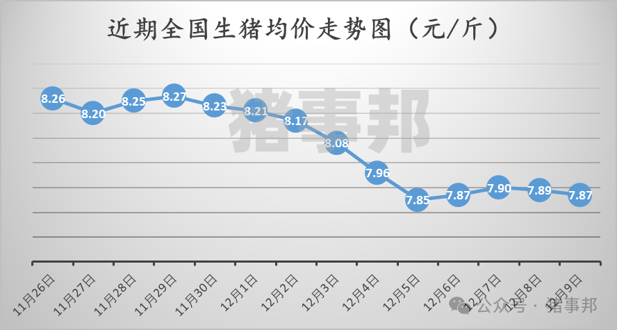 12月9日猪价汇总（北弱南强！）  第3张