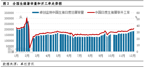 卓创资讯：需求提振不及供应增量 猪价再次跌破“16元/公斤”  第4张